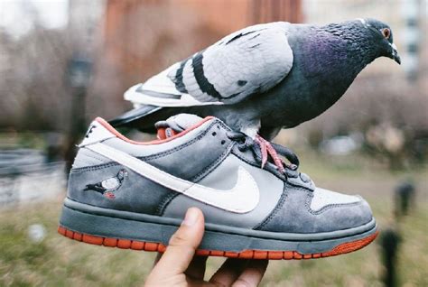 nike sb black pigeon fake